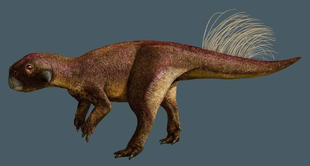 dinosaur-l