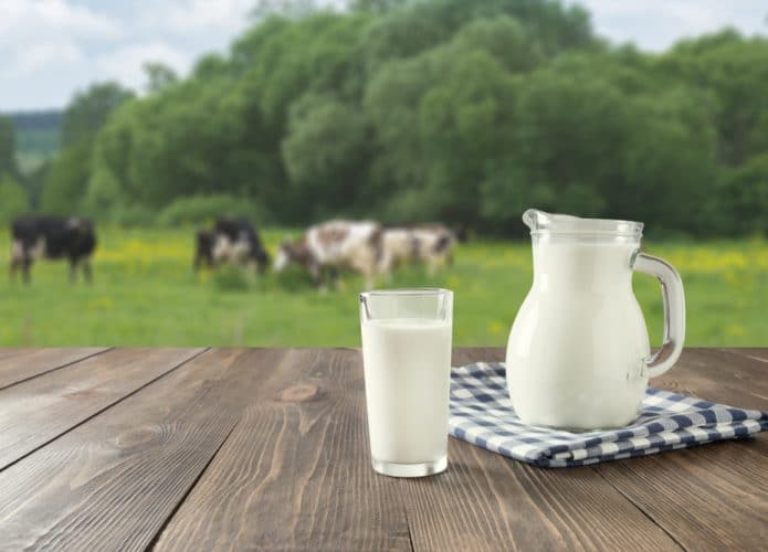 Um copo e uma xícara de leite em cima de uma mesa com vacas no fundo