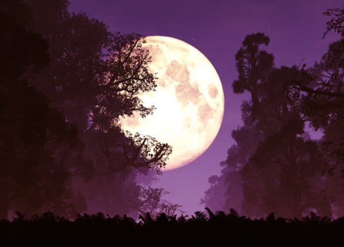 superlua-695x500