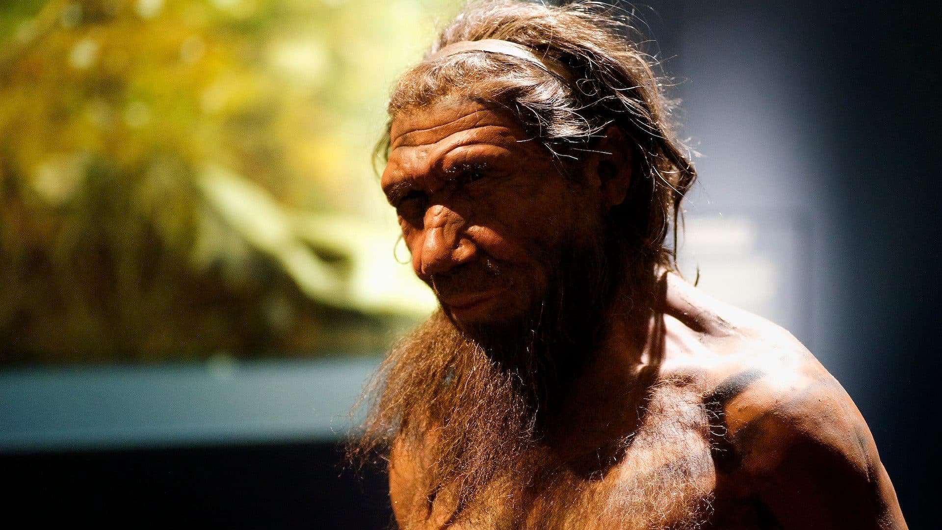 Homem Neandertal