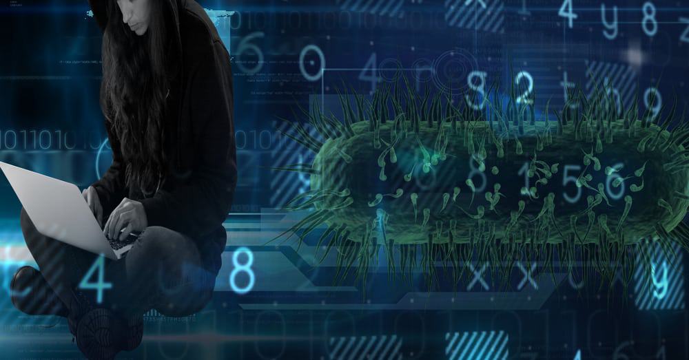 Hackers invadiram a plataforma da Neopets