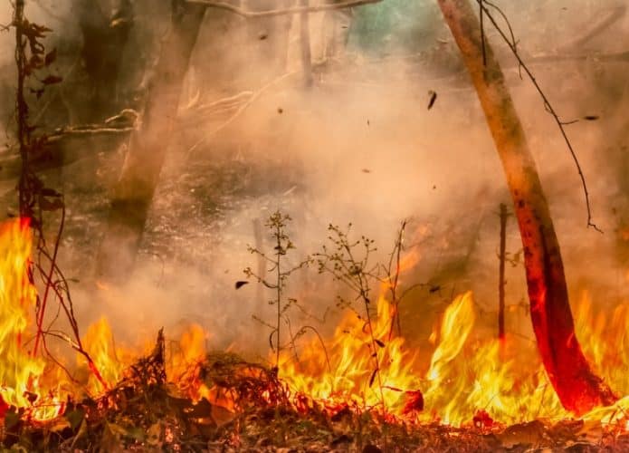 Incendio-Amazonia-695x500
