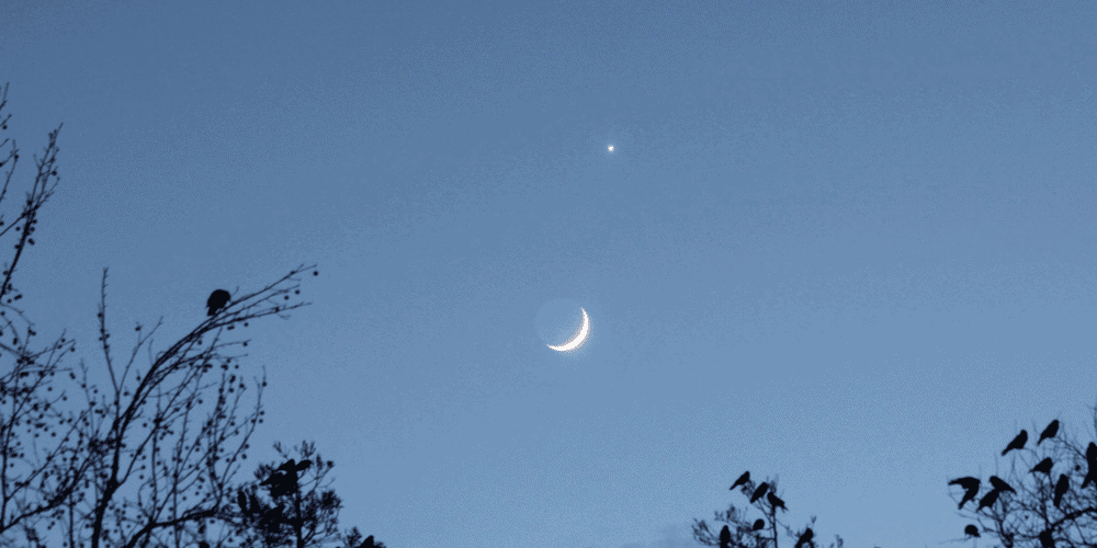 Lua-e-Venus.png