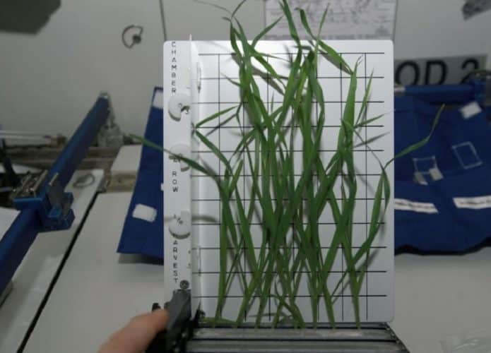 agricultura-espacial-695x500