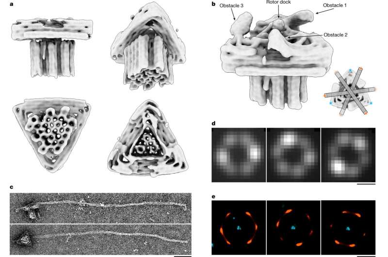 Cientistas criam primeiro motor elétrico molecular usando material de DNA