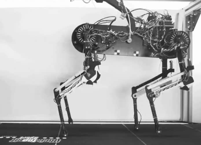 morti-cao-robo-695x500