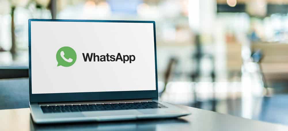 whatsapp windows respostas rápidas