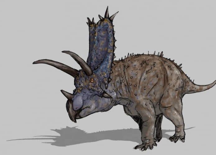 dinossauro-chifres-fossil-triceratops-695x500