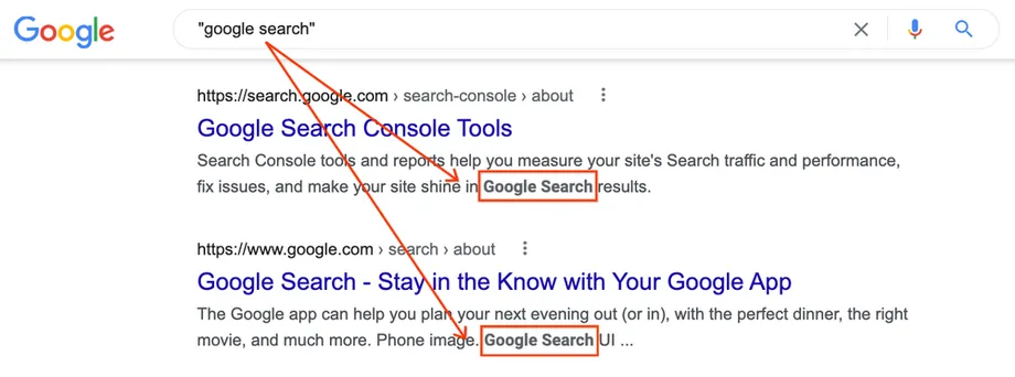 google search