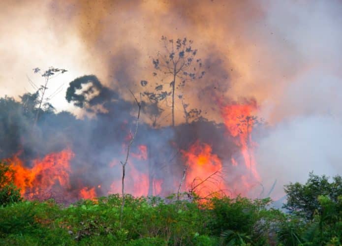 queimadas-floresta-amazonia