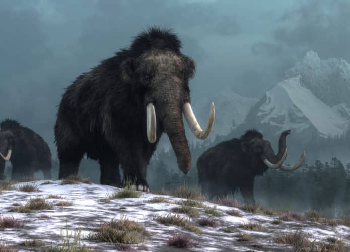 humanos-mamute-novo-mexico