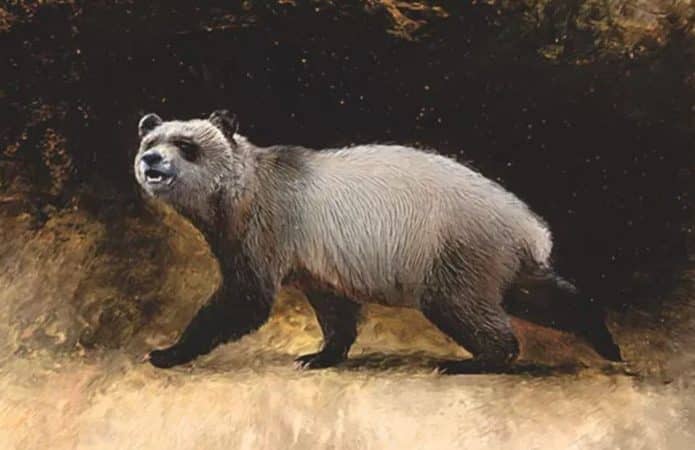 panda-gigante-europeu-695x450