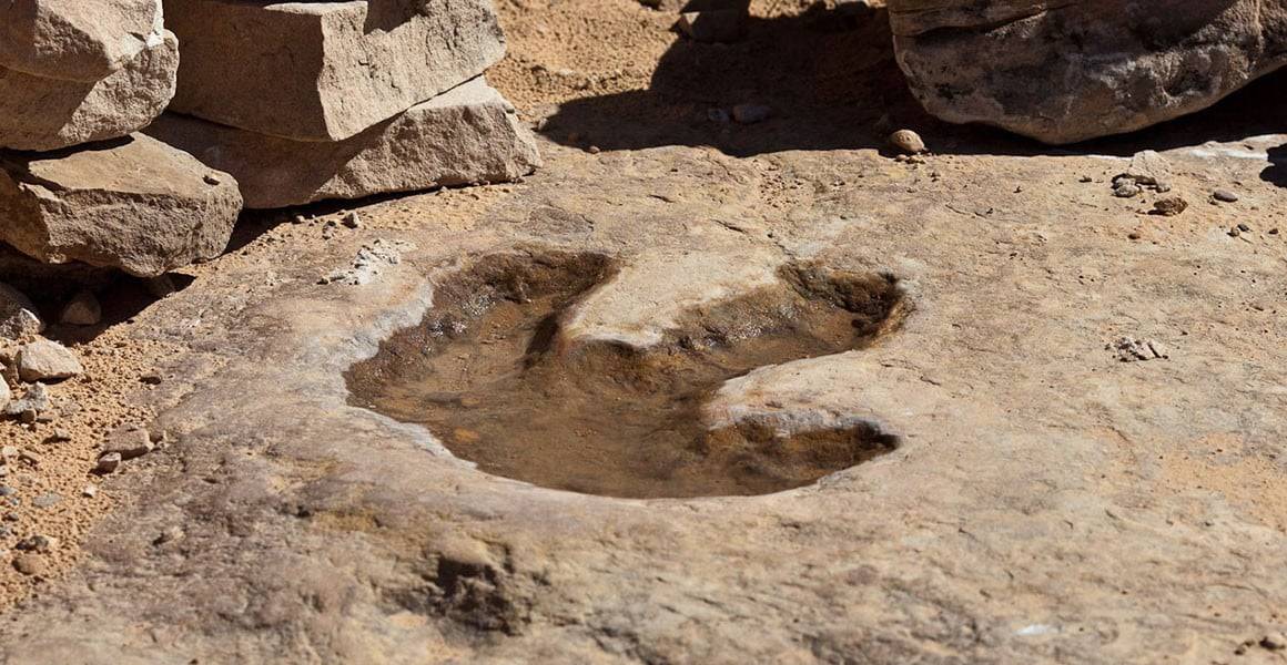 Pegada gigante de dinossauro é revelada após seca em rio no Texas