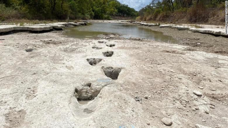 Pegadas de dinossauros preservadas foram descobertas no Dinosaur Valley State Park, no Texas, EUA. 