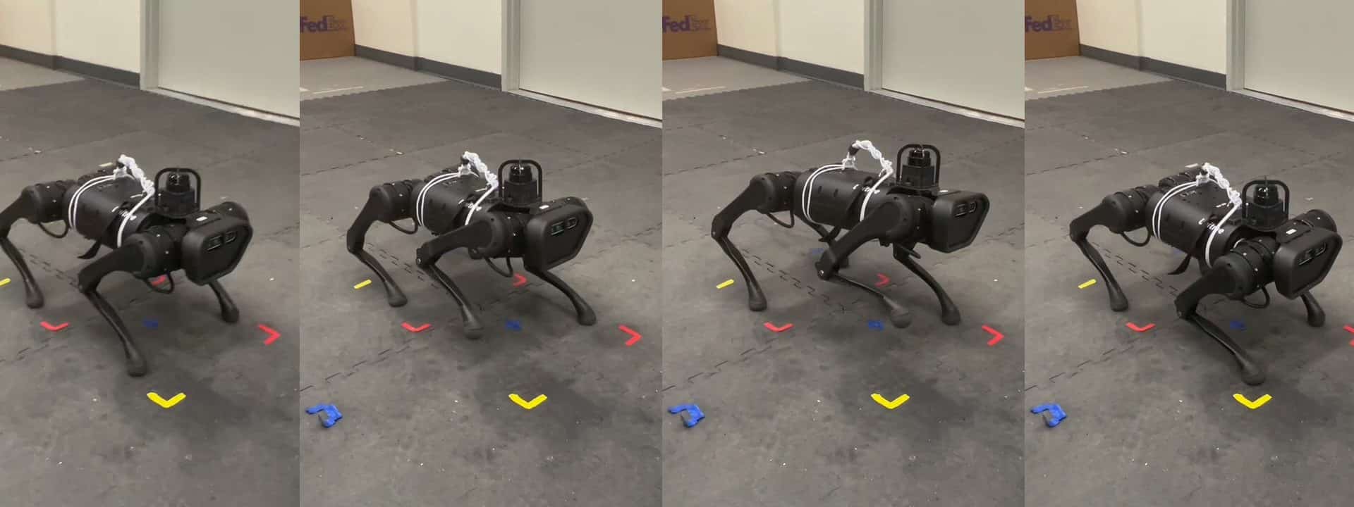 robo-quadrupede-robocup