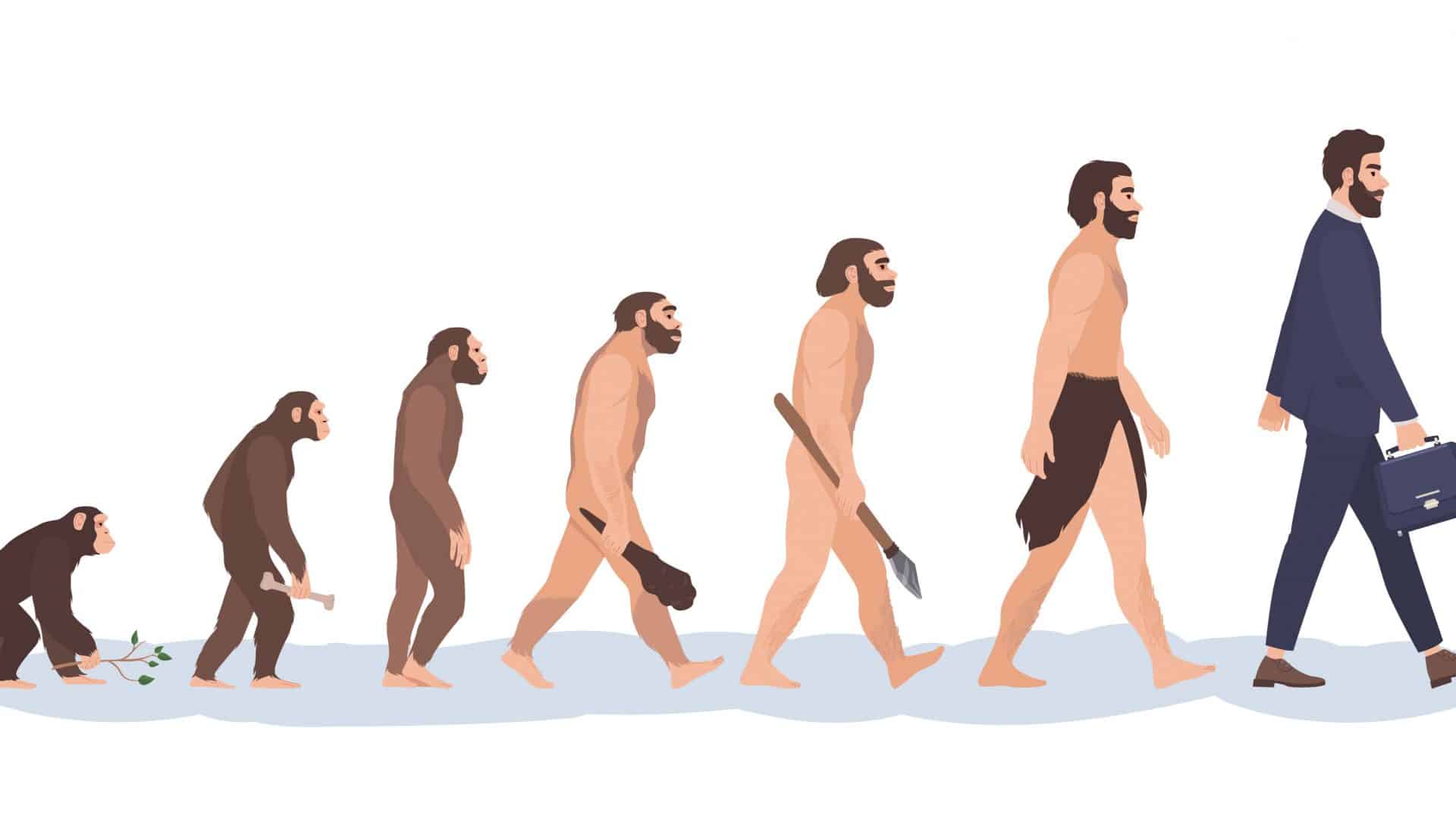 seres humanos evolução