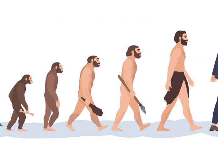 seres humanos evolução