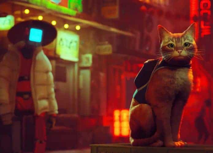 stray_header-695x500