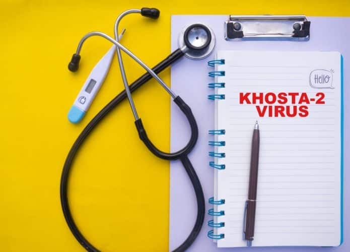 Khosta-2