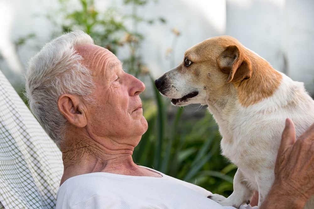 Alzheimer canino