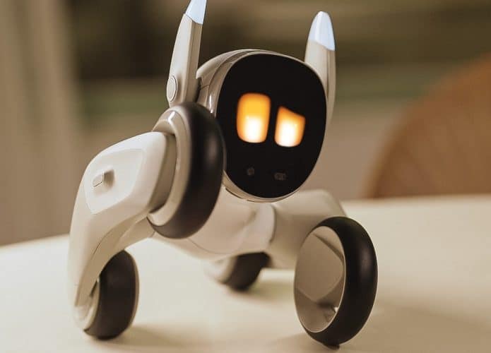 cao-robo-loona-china