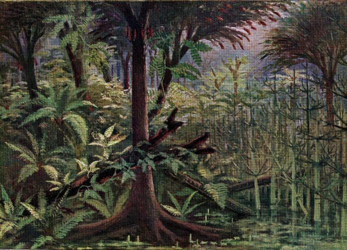 fossil-carbonifero-encontrado-eua