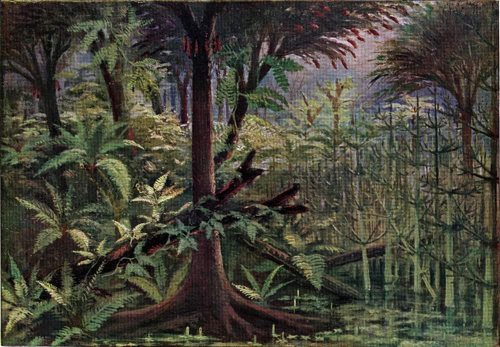 fossil-carbonifero-encontrado-eua