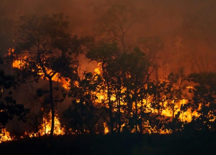 incendio-california-695x500