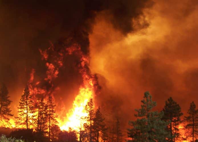 incendio-florestal-california-los-angeles-695x500