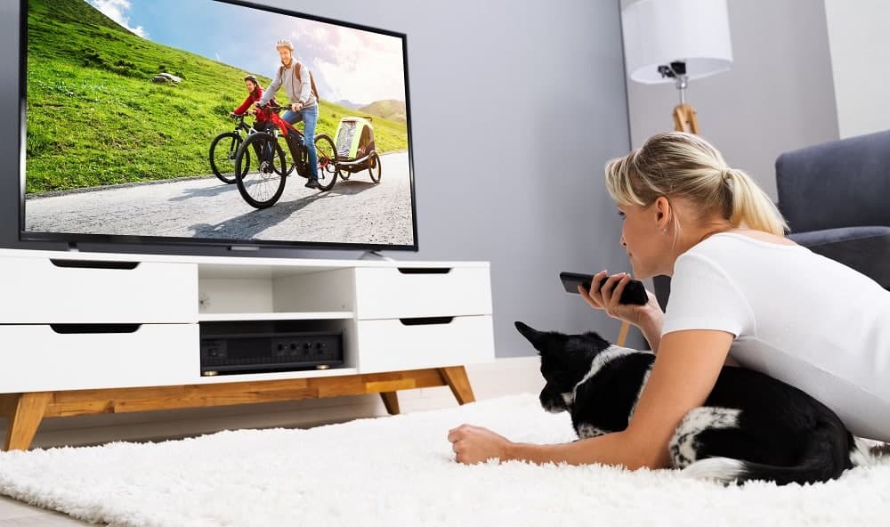Cachorro-TV