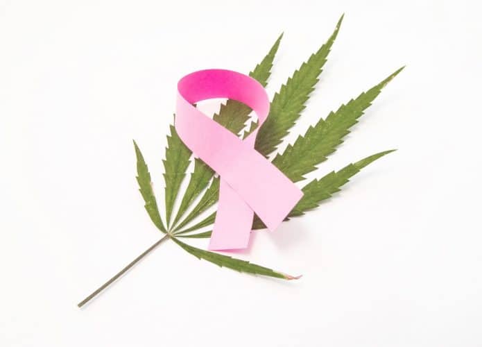 cannabis medicinal contra o câncer de mama