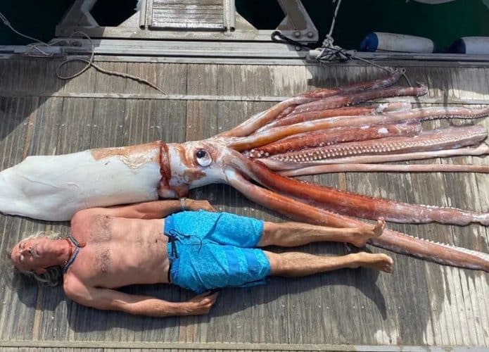 lula-gigante-tenerife-695x500