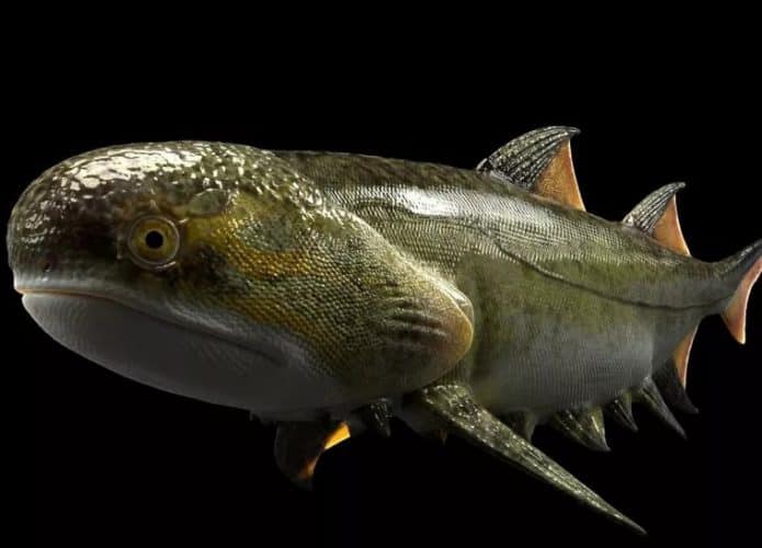 peixe-ancestral-especie-extinta-fossil-695x500