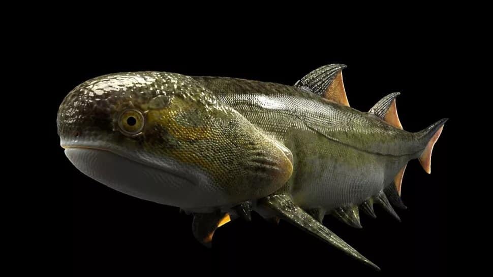 peixe-ancestral-especie-extinta-fossil