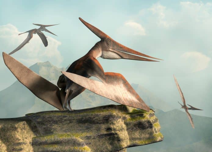 fossil-pterossauro-historia