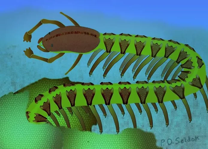 Armored-Lobopodian-Cardiodictyon-catenulum-Reconstruction-695x500.webp