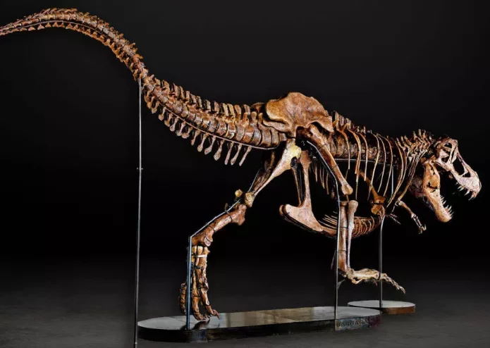 T.Rex grávida? Conheça a gigante pré-histórica chamada