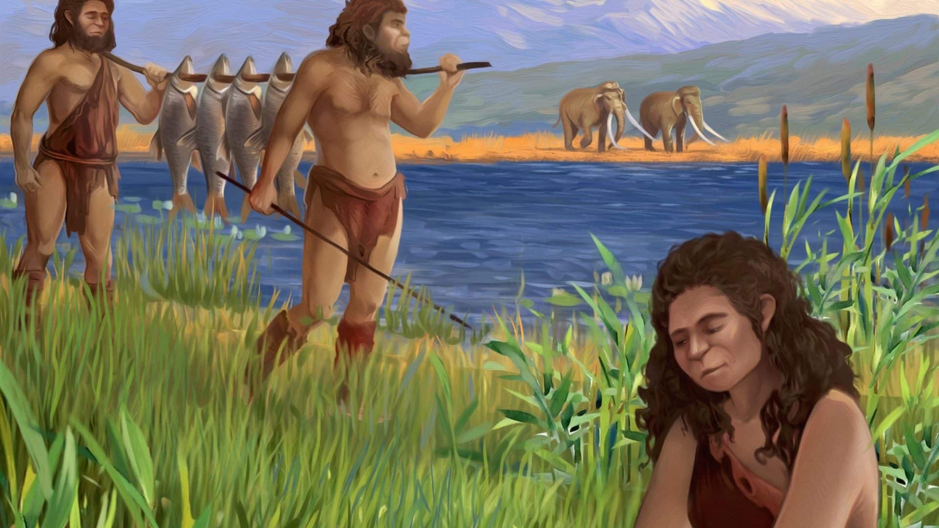 coccao-desenvolvimento-seres-humanos