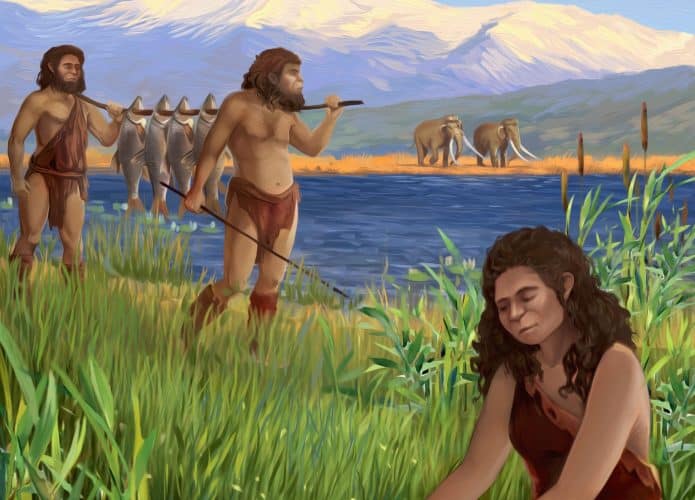 coccao-desenvolvimento-seres-humanos