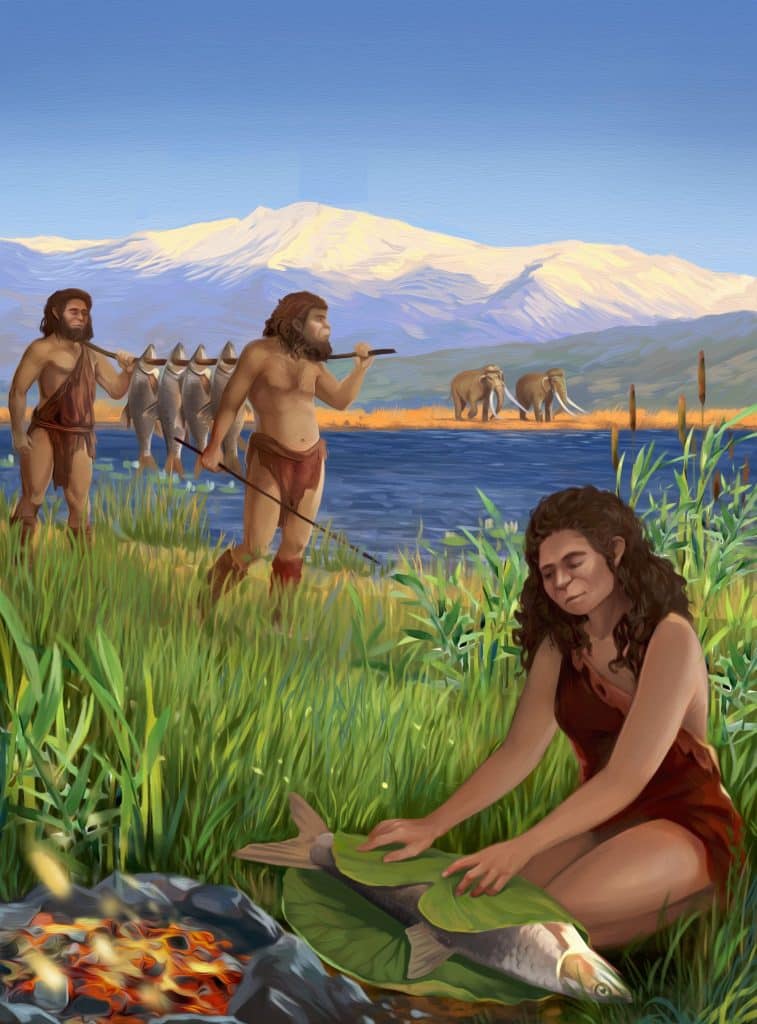 coccao-desenvolvimento-seres-humanos