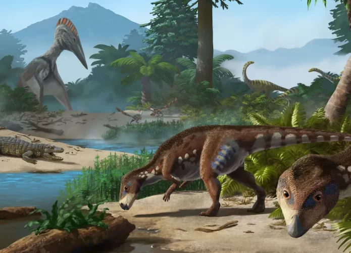 dinossauro-anao-da-transilvania-695x500.webp