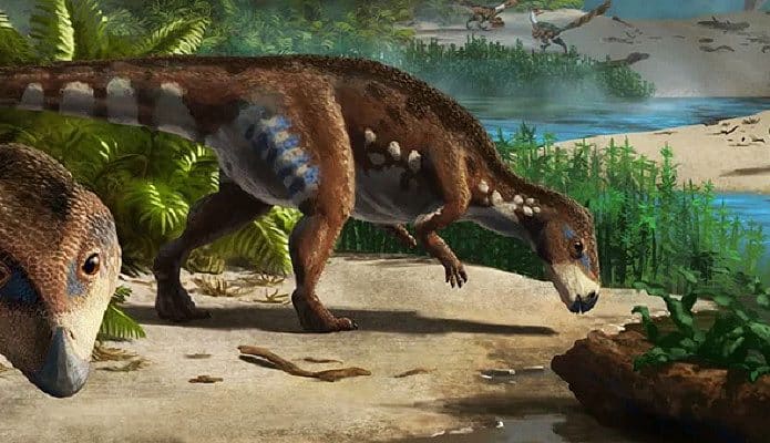 dinossauro-anao-transilvania-695x400