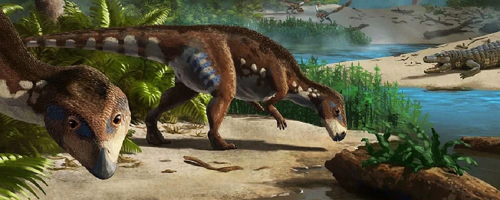 dinossauro-anao-transilvania