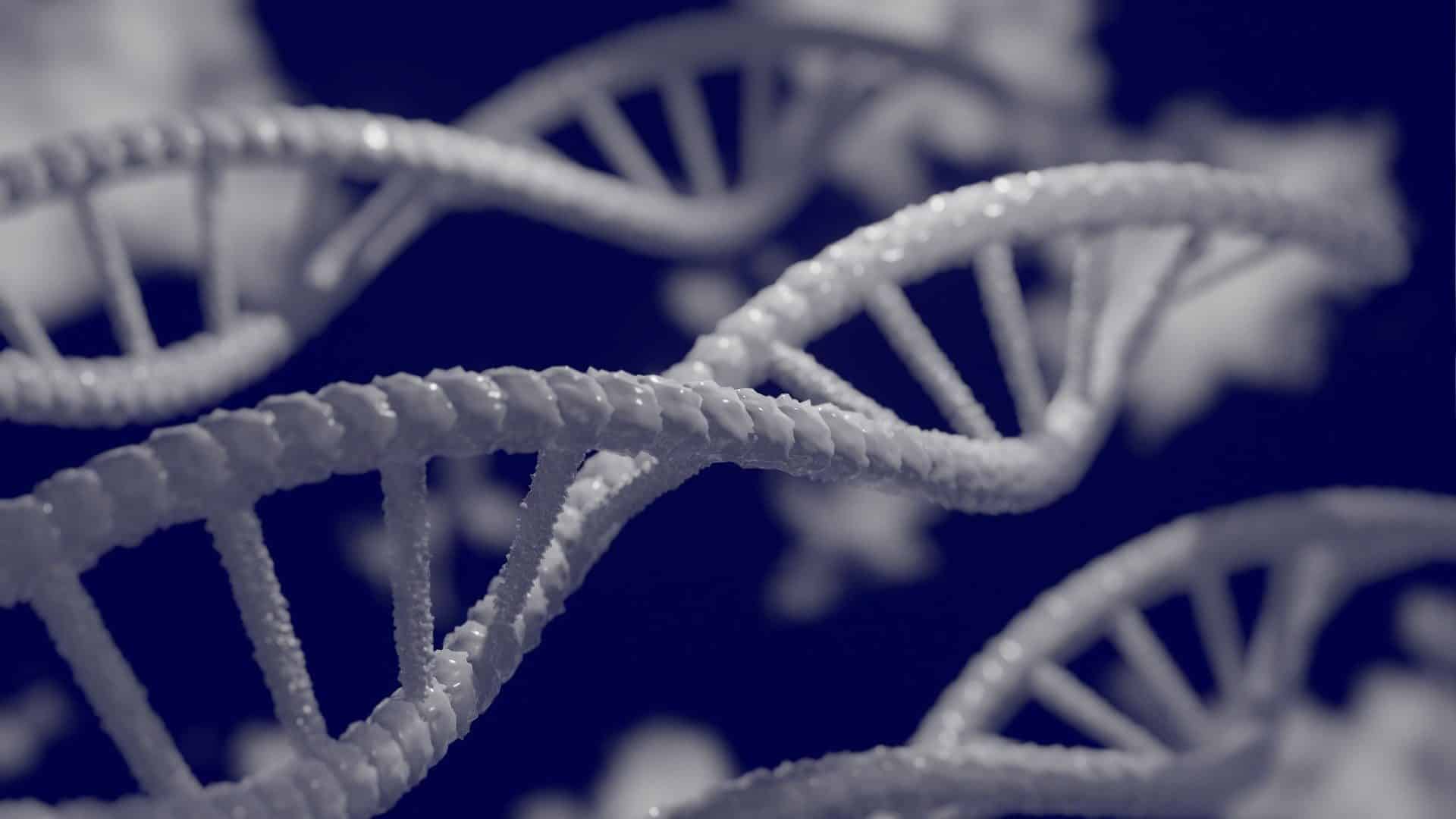 dna-5297378_1920