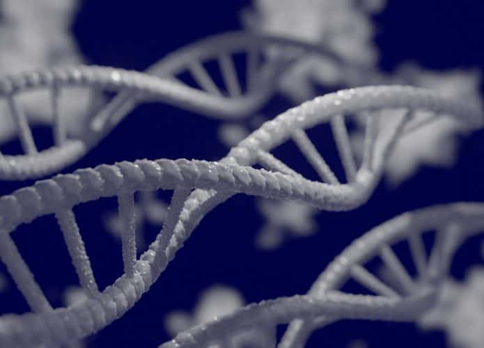 dna-5297378_1920