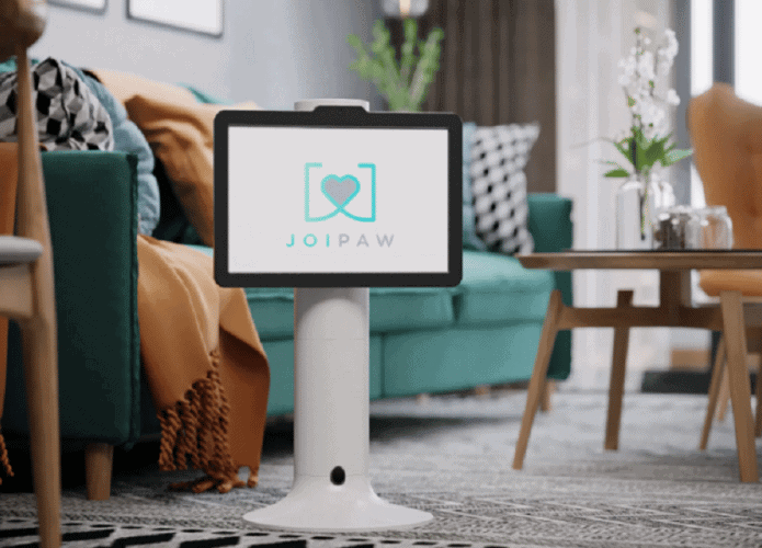 joipaw-dog-768x461-1-695x500.png