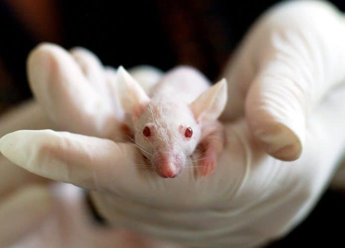 ratos-lab
