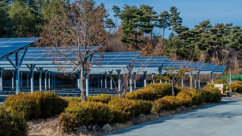 Painéis solares em estacionamentos.
