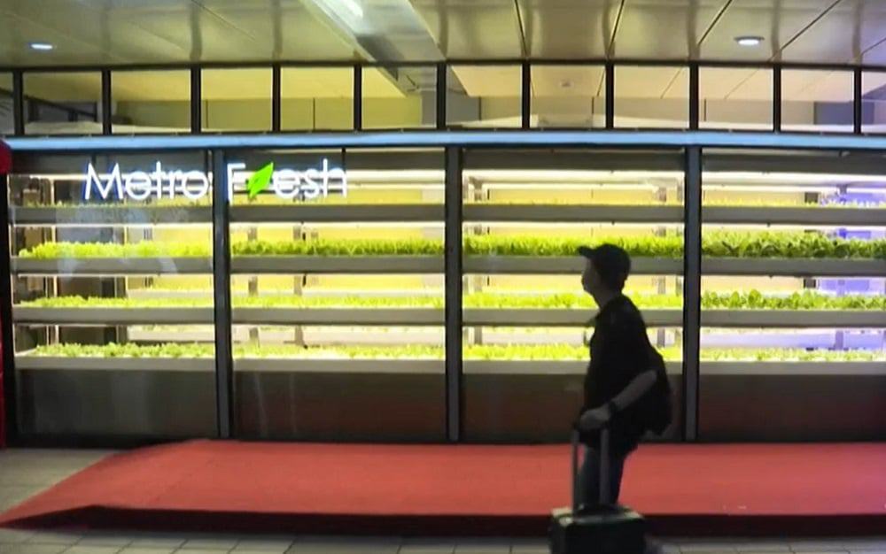 Por enquanto, as chamadas “smart farms” (fazendas inteligentes) do projeto Metro Fresh estão instaladas somente na estação Nanjing-Fushing, na capital de Taiwan, Taipei, e são especializadas no cultivo de alface