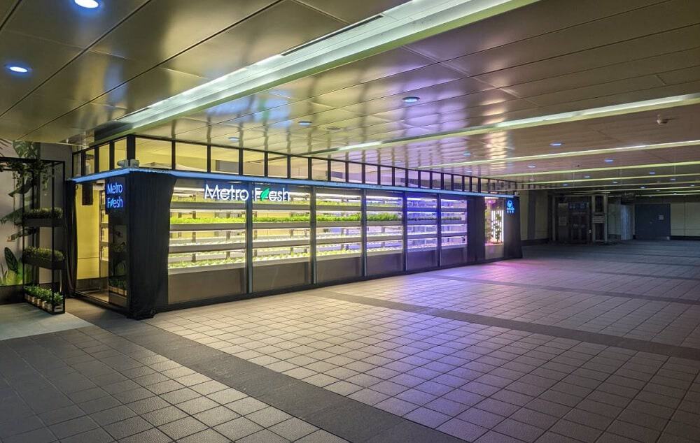taiwan-metro-fresh